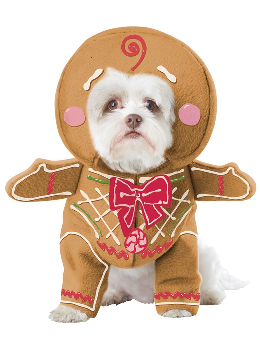 Fato de bolacha de gengibre para cão