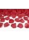 500 pétales de roses rouges