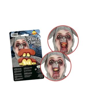 Conjunto de 2 dentes de coelho