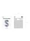 Ballon aluminium lettre S argenté