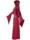 Medieval witch costume