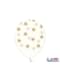 6 balloons transparent with golden stars (30 cm)