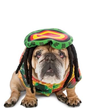 Kostum Anjing Rastafarian