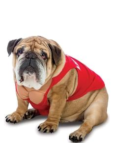 Déguisement secouriste chien