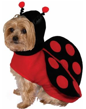 Kostum Anjing Ladybird