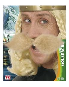 Mens Blond Schnauzer Gaul Moustache