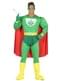 Green superhero costume for adults