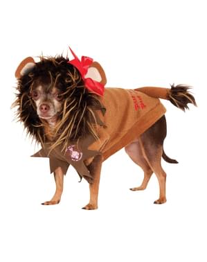 Maskeraddräkt Lejonet Trollkarlen från Oz för hund