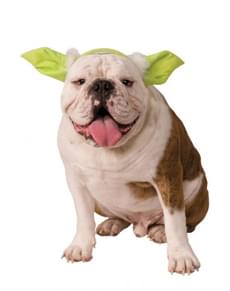 Orelhas de Yoda Star Wars para cão