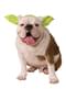 Uszy Yoda Star Wars dla psa