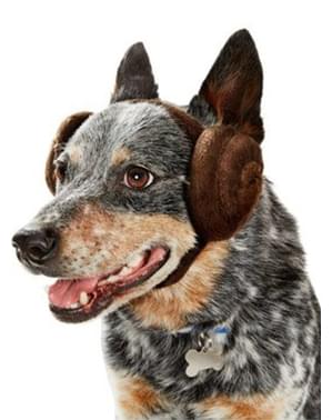 Orejas de la princesa Leia Star Wars para perro