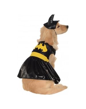 Fato de Batgirl para cão