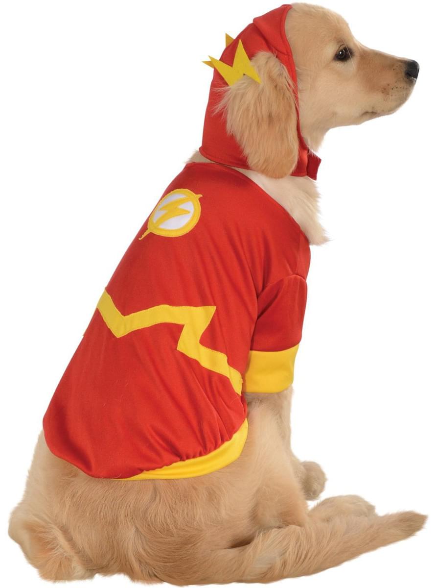 Fato de Flash DC Comics para cão