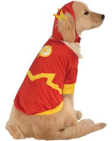 Costume Flash DC Comics per cane