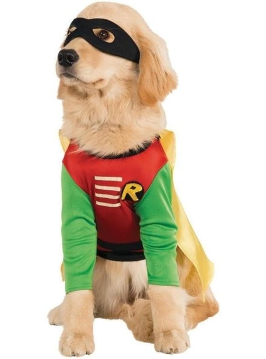 Robin Kostüm für Hunde Teen Titans Go | Funidelia