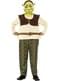 Déguisement Shrek enfant