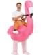 Inflatable Flamingo Costume for Adults