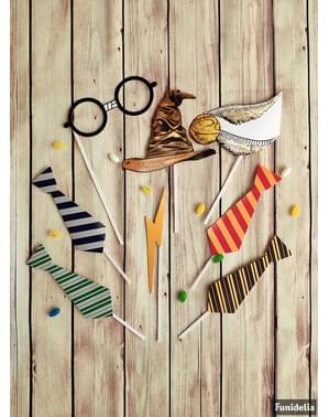 Set of Hogwarts Houses Photocall props - Harry Potter