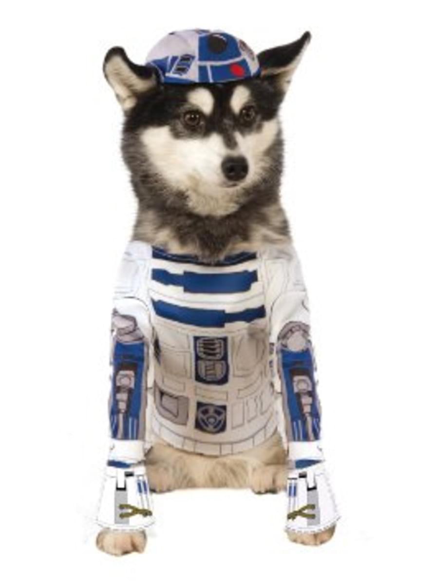 R2D2 Kostüm für Hunde