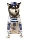 R2D2 Kostüm für Hunde