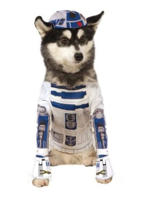 R2D2 Kostyme Hund