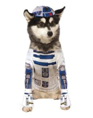 R2D2 Kostyme Hund