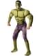 Avengers Age of Ultron deluxe Hulk costume for an adult