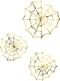 Golden Paper Cobweb