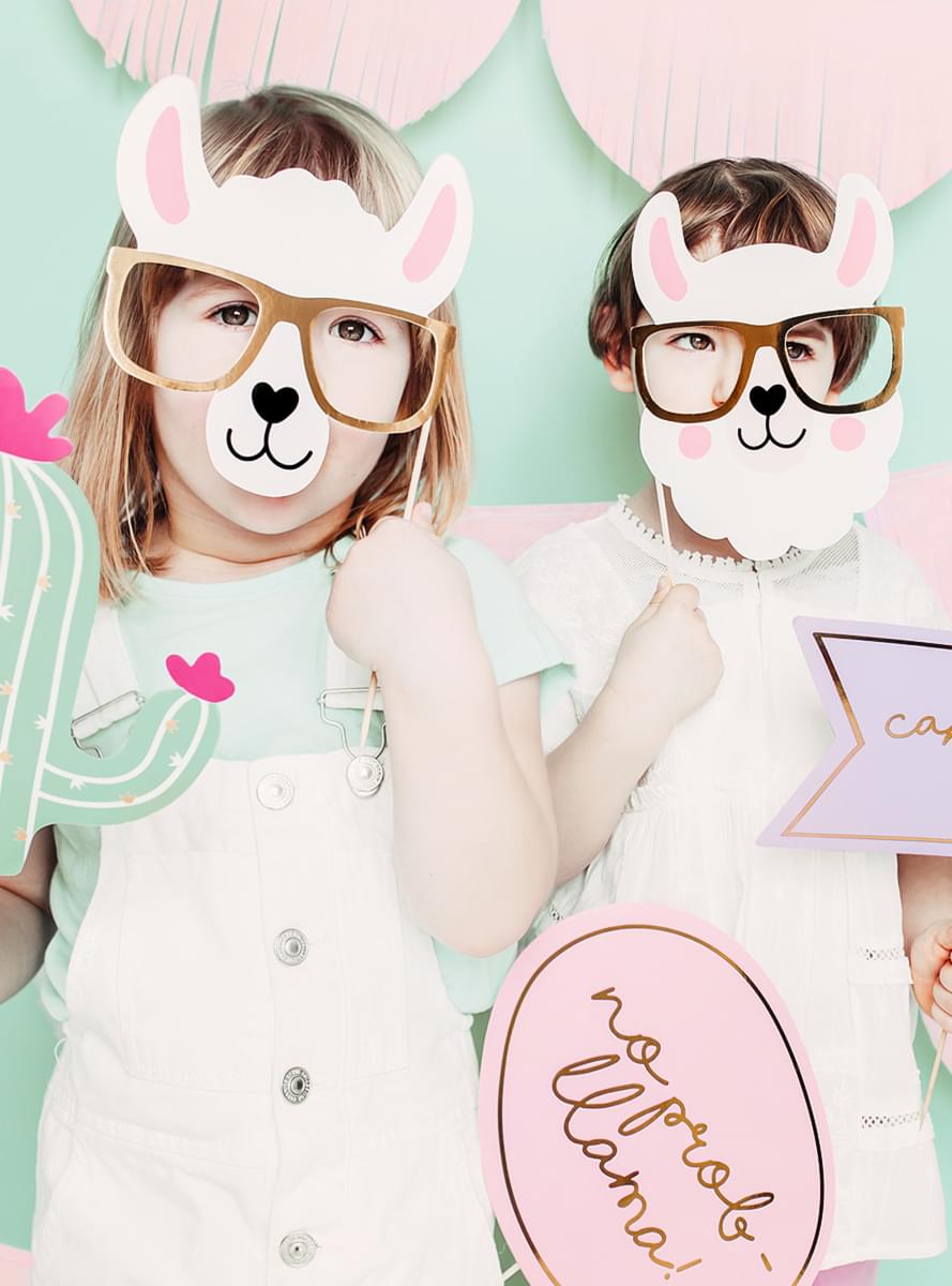 5 Photo Booth Props - Llama Party
