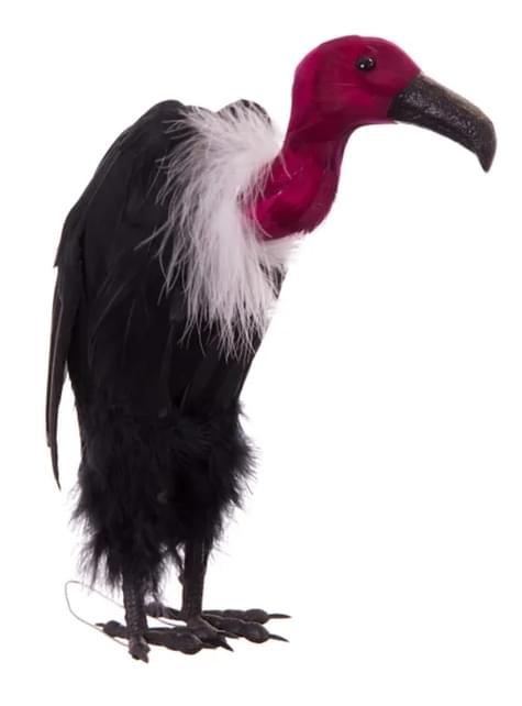 Halloween Vulture Hanging Decoration for parties and birthdays | Funidelia