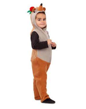 Hedgehog Costume for Kids