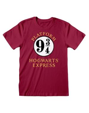 Camiseta de Harry Potter Hogwarts express para hombre