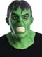 Adults Hulk Marvel Deluxe Mask