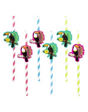 6 pailles toucans - Toucan Party