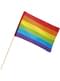 Rainbow flag with stick
