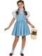 Girls Dorothy The Wizard of Oz deluxe costume