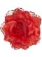 Fleur rouge cheveux