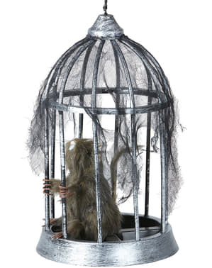 Caged Rat