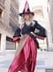 Charming Witch Adult Costume