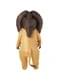 Inflatable lion costume for adults