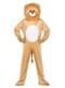 Lion costume with head for adults