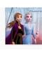 20 guardanapos Frozen 2 (33 cm)