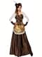 Glänzendes Steampunk Kostüm für Damen