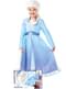 Costume Elsa Frozen 2 con parrucca per bambina