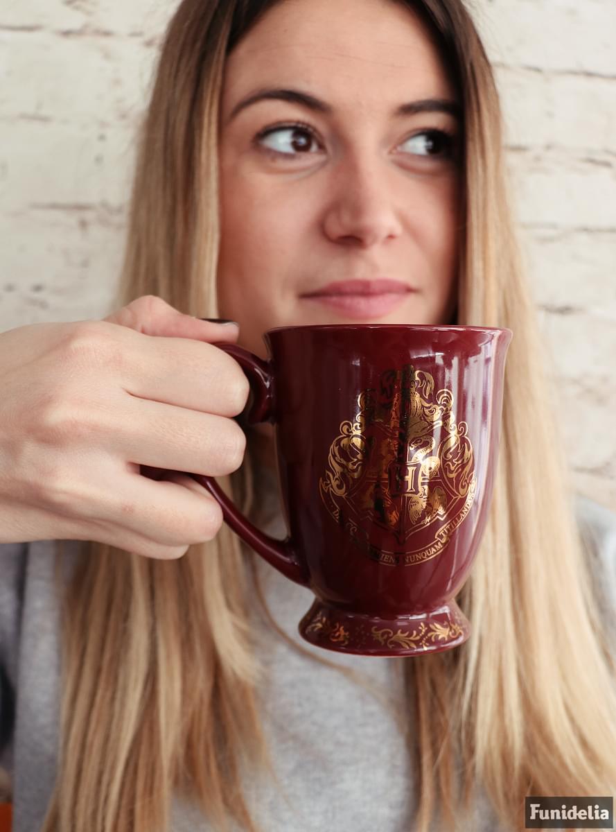 Hogwarts Harry Potter ceramic mug