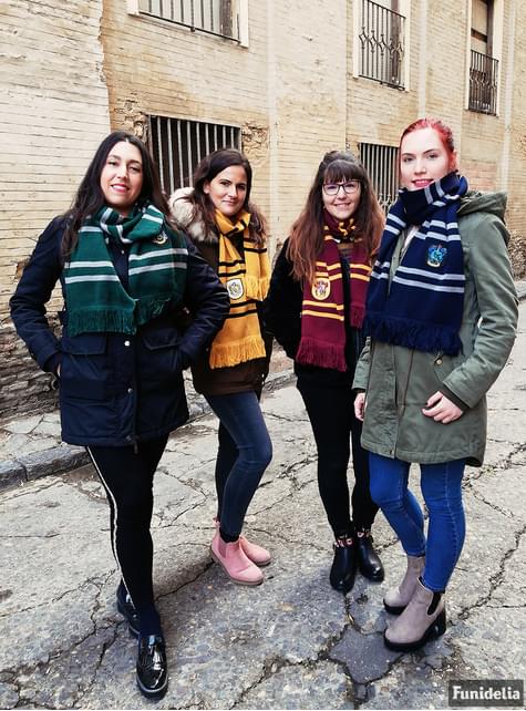 Harry Potter Grifondoro Sciarpa Fancy Dress Accessorio Sciarpe