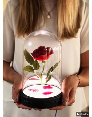 Beauty and the Light רוז המכושף והחיה