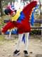 Kids Parrot Costume