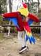 Kids Parrot Costume