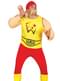 Men's Hogan Fighter Costume